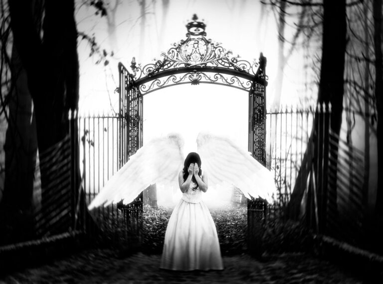 blayzewilliams leaked