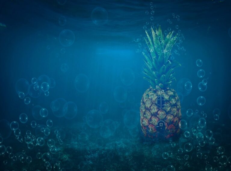 bob esponja muerto meme