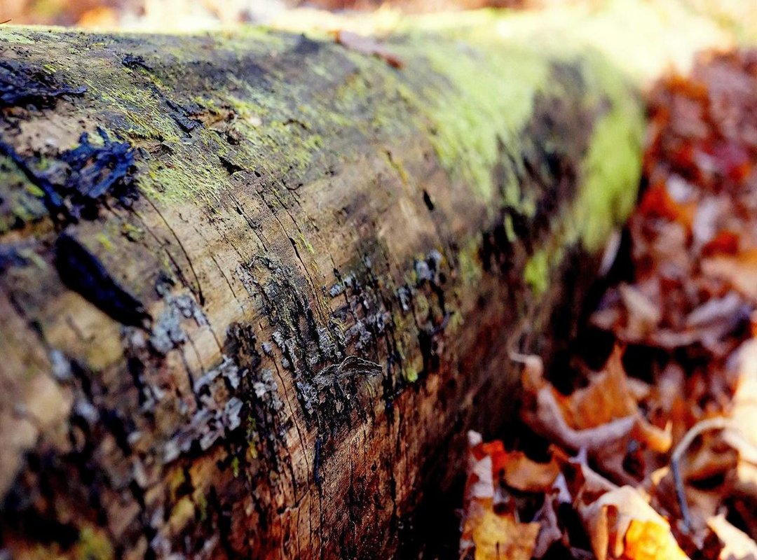 Bring on the Toys: Using Props for Wow-Factor Hair