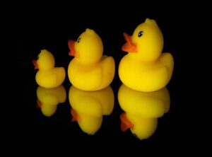 kleurplaat paper duck spullen