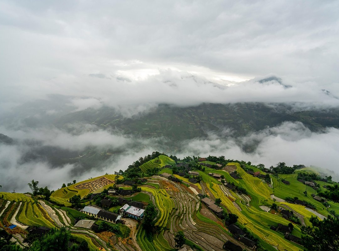 Steps to Protect Yourself