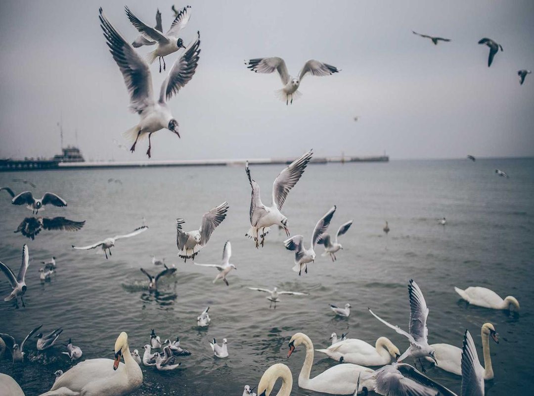 Frequently Asked Questions (FAQs)