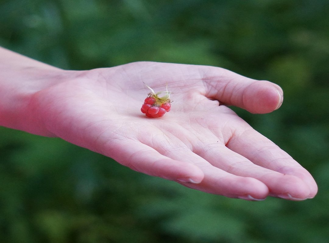 Now You're In On the Joke